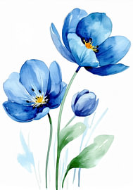 Wunderschöne blaue Mohnblumen in Aquarell
