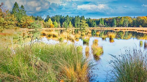 holländische Landschaft