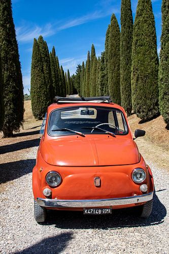 Fiat in cipressenlaan (5)