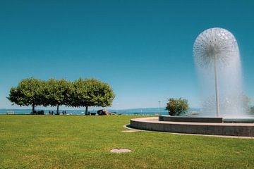 Bodensee von Alexander Aboud