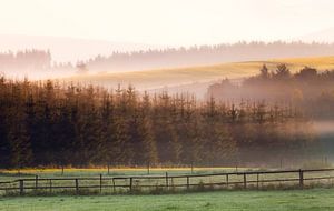 Sauerland Nebel, Deutschland von Frank Peters