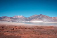 "Verzaubert von Rot: Entdeckungen in Piedras Rojas, Chile