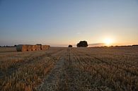 Sonnenuntergang, Strohballen in Groß Stresow von GH Foto & Artdesign Miniaturansicht