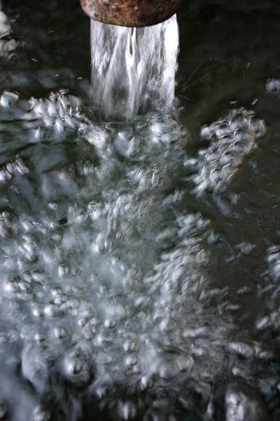 Water by Bart Burger