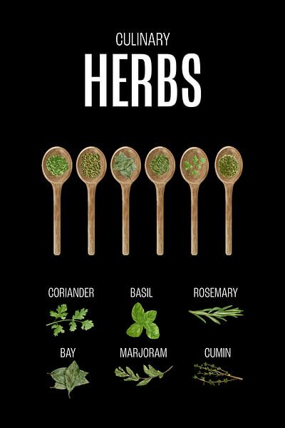 Herbs Kitchen Poster Black by Marian Nieuwenhuis