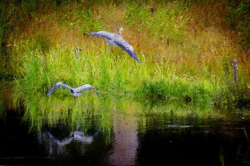 2 flying blue herons (art, painting) by Art by Jeronimo