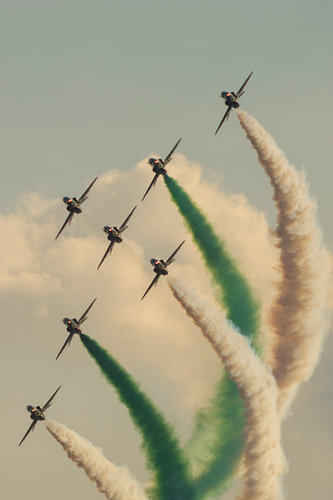 Saudi Hawks Sunset