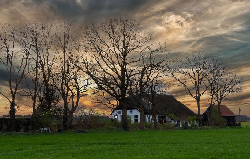 Frisian farms and buildings. by Brian Morgan