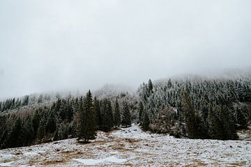 Winterlandschap bomen in de mist - Oostenrijks landschap van sonja koning