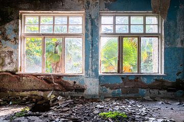 Tropisches Aussicht im Verfall. von Roman Robroek – Fotos verlassener Gebäude