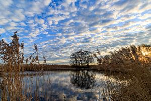 Zonsopkomst weerspiegeling in de Weerribben