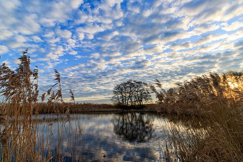 Réflexion du lever du soleil dans le Weerribben