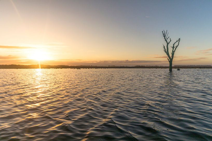 Tree at sunrise by Marcel Kerdijk