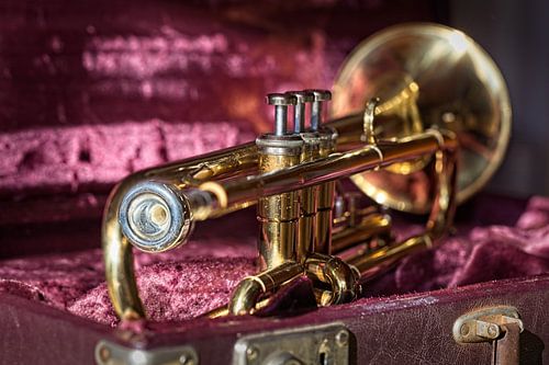 Trompet van Rob Boon