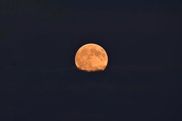 Moon rise van Menno Selles