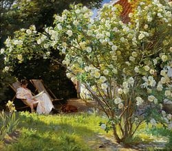 Roses, Peder Severin Krøyer