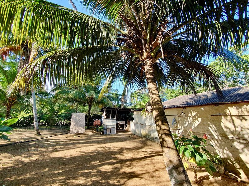 On the road in Cuba, motif 3, photography by zam art