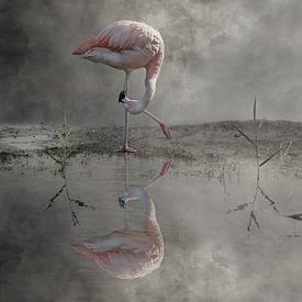 Flamingo by Cora Deutekom