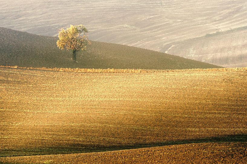 Toscaans Landschap van Peter Poppe