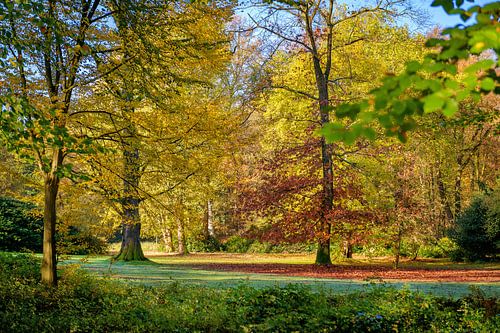 Concours de coloriage sur le domaine de Rhederoord