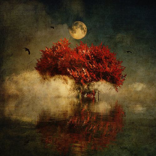 Amerikaanse eik met volle maan