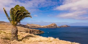 Ponta de Sao Lourenco op het eiland Madeira van Werner Dieterich