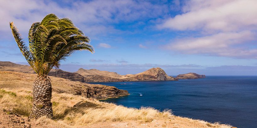 Ponta de Sao Lourenco on the island of Madeira by Werner Dieterich