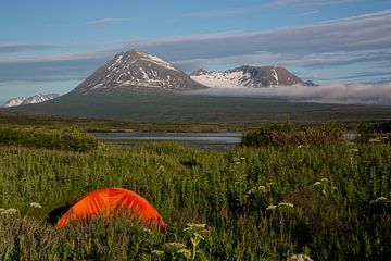 Camping in Alaska