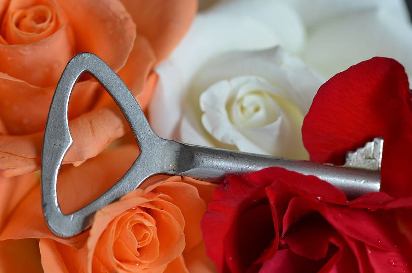 Schlüssel zum Herzen von Zwergls Lichtermeer