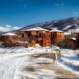 Verlaten huizen in Kranionas, Kastoria. Griekenland van Konstantinos Lagos