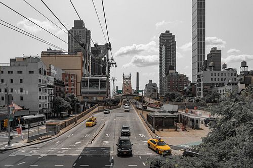 New York Brownish
