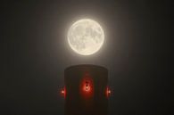 Full Moon by Patrick van Os thumbnail