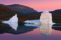 Sonnenaufgang im Rødefjord, Scoresby Sund, Grönland von Henk Meijer Photography Miniaturansicht