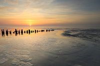 Sonnenuntergang im Wattenmeer