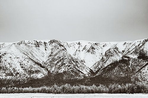 The wild forest on the edge of Lake Baikal.