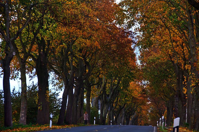 Avenue d'automne par Edgar Schermaul