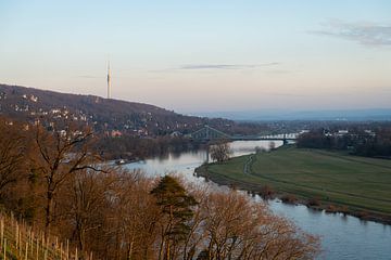 Winter atmosphere on the Elbe river in Dresden