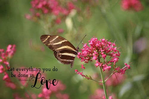 Let everything you do be done in love - Bijbeltekst op canvas
