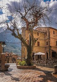 Het dorpsplein van Fornalutx in de bergen van de Serra de Tramuntana, Mallorca van Christian Müringer