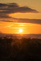 Last rays