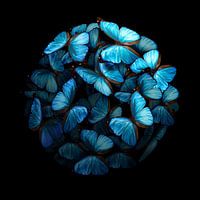 Morphogenic: Blauw I