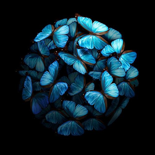 Morphogenetisch: Blau I