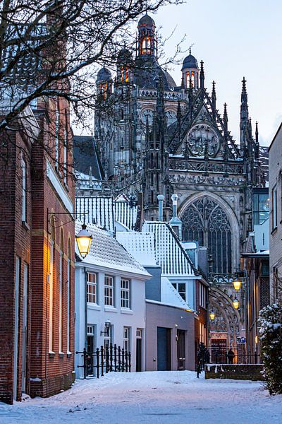 Winter in hartje Den Bosch van Anne van Doorn