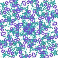 Klimplant bloeiend 2