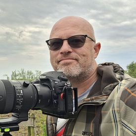 René von Hout profielfoto