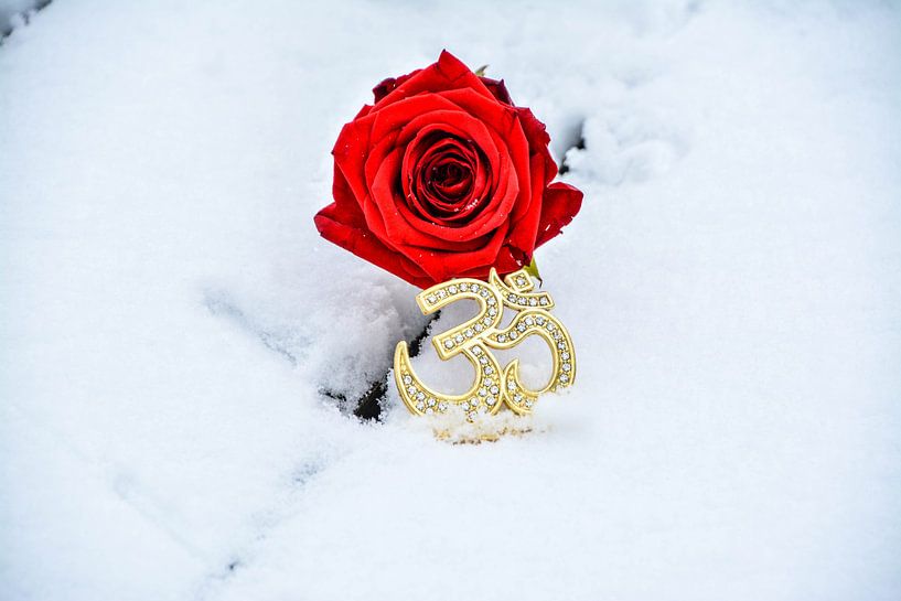 Love for Aum par Rayn Hossainkhan