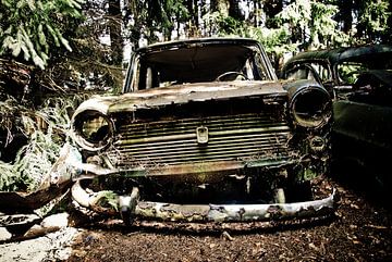 jeepers creepers by H Nicolaas