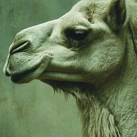 Camel Portrait in Calm Greens by Femea Art ai