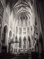 Sint-Janskathedraal Den Bosch 's-Hertogenbosch