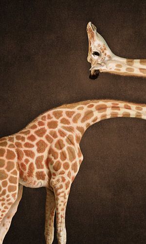 Pics that make your Brain Hurt by Marja van den Hurk